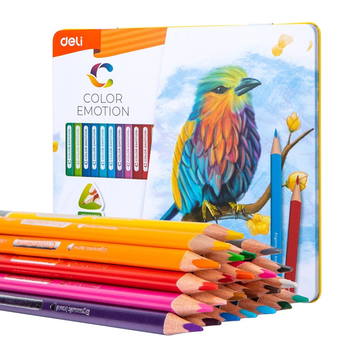 deli – Coloured Pencil 24 Colour Metal Box